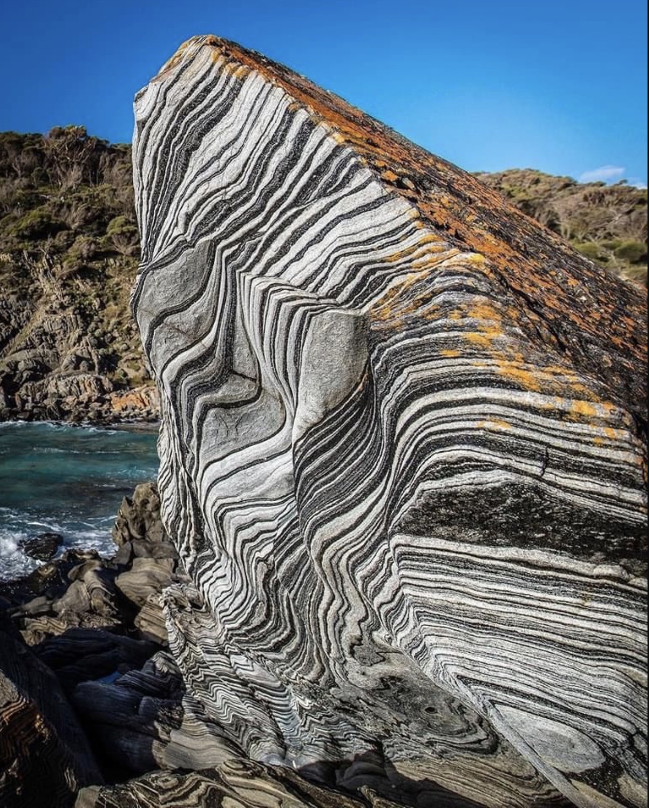 zebra schist